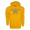 Cheapest 😉 College Hoodies & Sweatshirts Blue 84 North Dakota State Bison Toolbelt Hoodie 😀